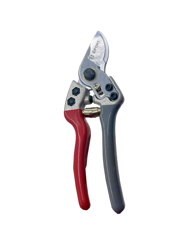 Pince 1-PhotoRoom.png-PhotoRoom