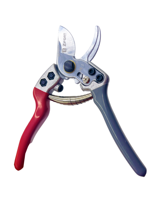 Pince 2-PhotoRoom.png-PhotoRoom